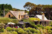 Waiheke Island Day Tour: Ziplining, Wine Tasting & Vineyard Lunch
