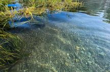 Clear Kayak Day Adventure Tour in San Marcos