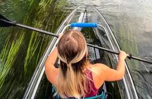 Clear Kayak Day Adventure Tour in San Marcos