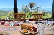 Waiheke Island Day Tour: Ziplining, Wine Tasting & Vineyard Lunch