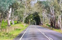 Adelaide City Highlights via Hahndorf Half-Day Tour