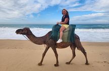 Luxury Tangier Private Full Day Tour from Gibraltar All Inclusive