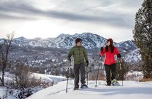 Park City Snowshoe
