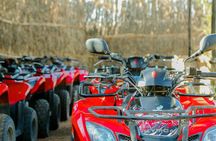 Quad Biking and Sandboarding on Sand Dunes Wild Beach