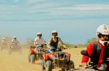 Quad Biking and Sandboarding on Sand Dunes Wild Beach