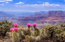 LA: San Francisco, Yosemite, Vegas, Grand Canyon &more 7days
