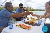 5 Islands Tour: New OCÉANE Private Pontoon Boat cruise