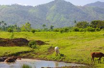 Higüey Safari, Basilica and Macao Beach Tour