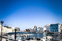 Bizerte Utique Day and Cape Angela the Far North of Africa