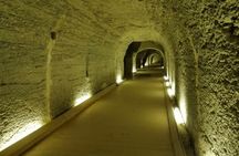 Egypt's Timeless Treasure for Saqqara Full Day Private Tour 