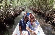 Garifuna History, Mangrove Tour and wildlife 