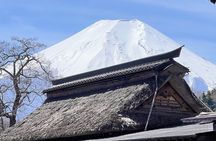 English-speaking Guided Tour:Mount Fuji & Hakone, Private Vehicle