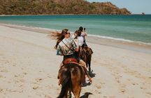 1 Hour Private Horseback Riding Tour in Playa Conchal