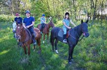 1.5 hr Horseback Riding in Open Door, Luján, Buenos Aires