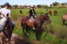 1.5 hr Horseback Riding in Open Door, Luján, Buenos Aires