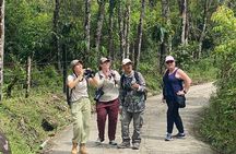 Jungle Tour Bird Watching and Local Fauna from Guatapé