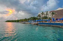 Money Bar All Inclusive Experience with Transportation