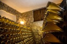 Private tour in Ischia island with tasting wine