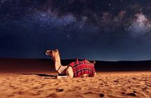 Half Day Night and Morning Desert Safari Camel and Sand Boarding 