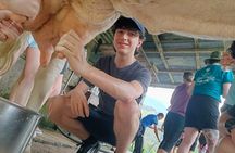 Private Guided Tour of Cheese in Canaan de Rivas