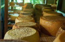 Private Guided Tour of Cheese in Canaan de Rivas