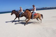 1 Hour Private Horseback Riding Tour in Playa Conchal