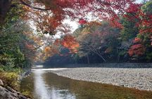 Ise Jingu Half Day Private Tour