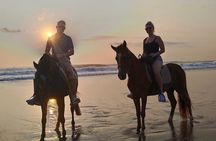Bali Horse riding in the beach Private Horse Riding saba beach