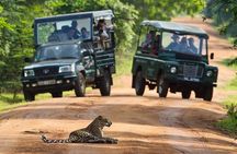 All inclusive leopard safari Wilpattu with guide