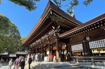 Discover the Streets of Tokyo Shibuya - 3 H Private walking tour!