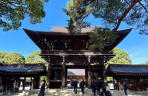 Discover the Streets of Tokyo Shibuya - 3 H Private walking tour!