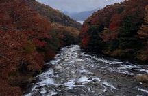 English-speaking guided day tour of Nikko with a private vehicle