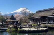 English-speaking Guided Tour:Mount Fuji & Hakone, Private Vehicle