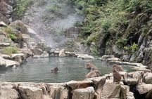 Snow Monkey Park Private Tour from Tokyo with licensed guide