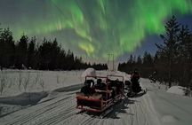 Northern Lights Sledge Ride in Levi