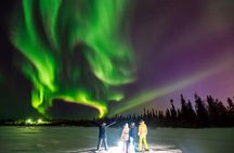 Northern Lights Sledge Ride in Levi