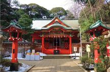 Tokyo Kamakura Day Trip (Free Enoden Experience)