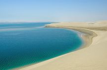 Doha Half Day Desert Safari with Camel Ride and Sand Boarding 