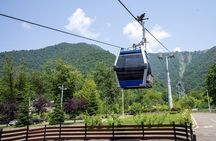 Gabala and Shamakhi Tour with Guide