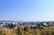 Kamakura and Enoshima Tour with Vehicle and Guide