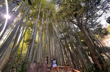 Kamakura and Enoshima Tour with Vehicle and Guide