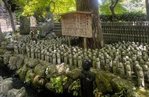 Kamakura and Enoshima Tour with Vehicle and Guide