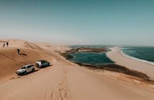 Sandwich Harbour Full Day Where Desert and Ocean Meet