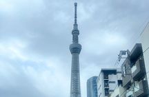 English-speaking guided day tour of Tokyo with a private vehicle