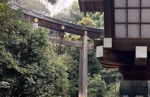 English-speaking guided day tour of Tokyo with a private vehicle