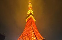 English-speaking guided day tour of Tokyo with a private vehicle