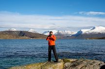 Arctic Roadtrip: fjords with scenic picnic | Sightseeing