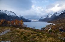 Arctic Roadtrip: fjords with scenic picnic | Sightseeing