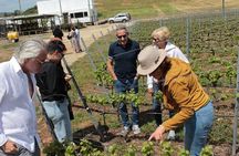 Exclusive-Casablanca-Wine-tours-Three lunch options