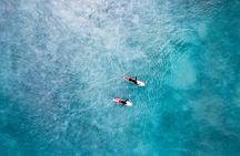 Learn to Surf in Paradise.